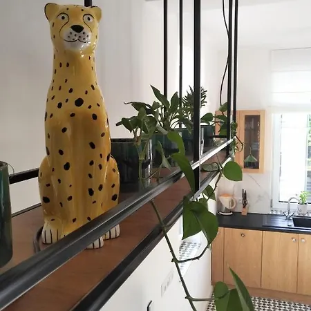 La Jaguara Artistic House In The Center Of * גדנסק