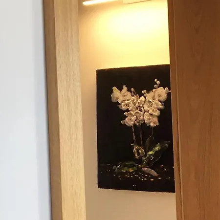 La Jaguara Artistic House In The Center Of