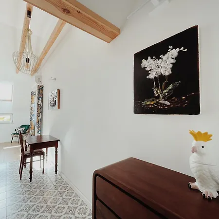 La Jaguara Artistic House In The Center Of *